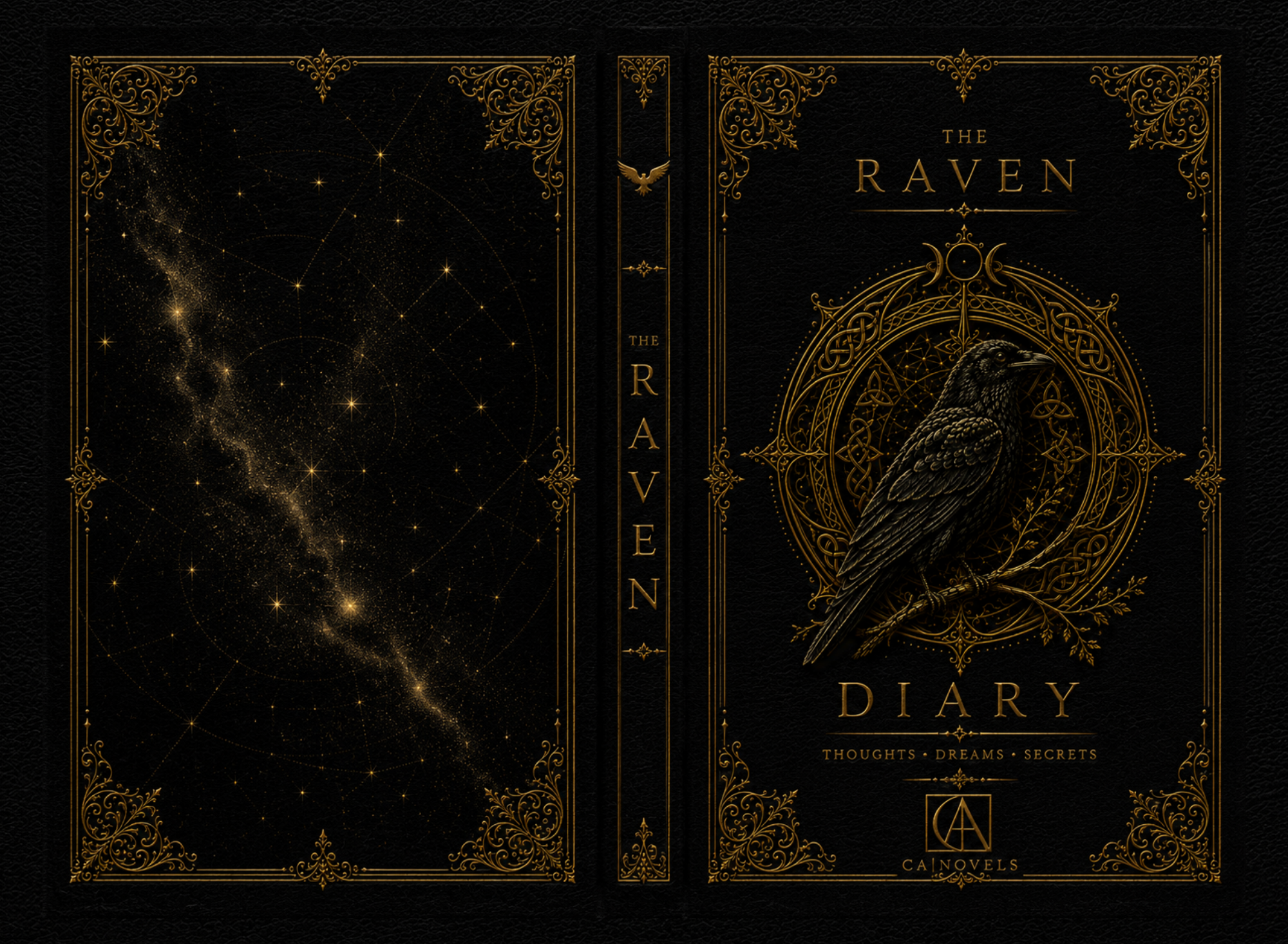 Vollständiger Buchumschlag von The Raven Diary